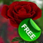 3d rose live wallpaper free android application logo